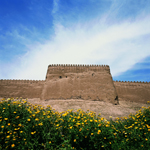 Bam Citadel/Kerman